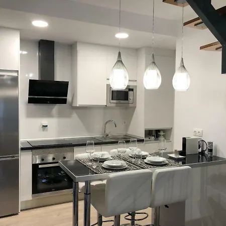 Loft Duplex דירה מאלגה